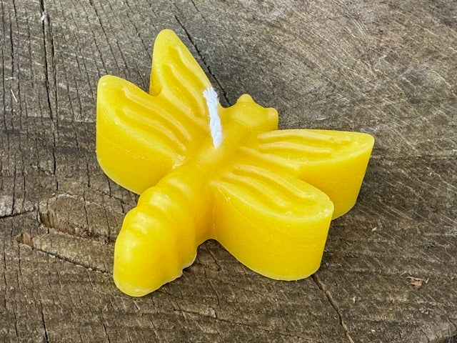 Insect Candles