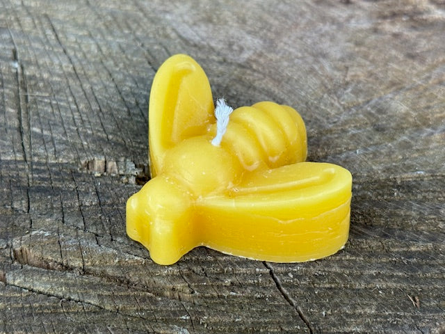 Insect Candles