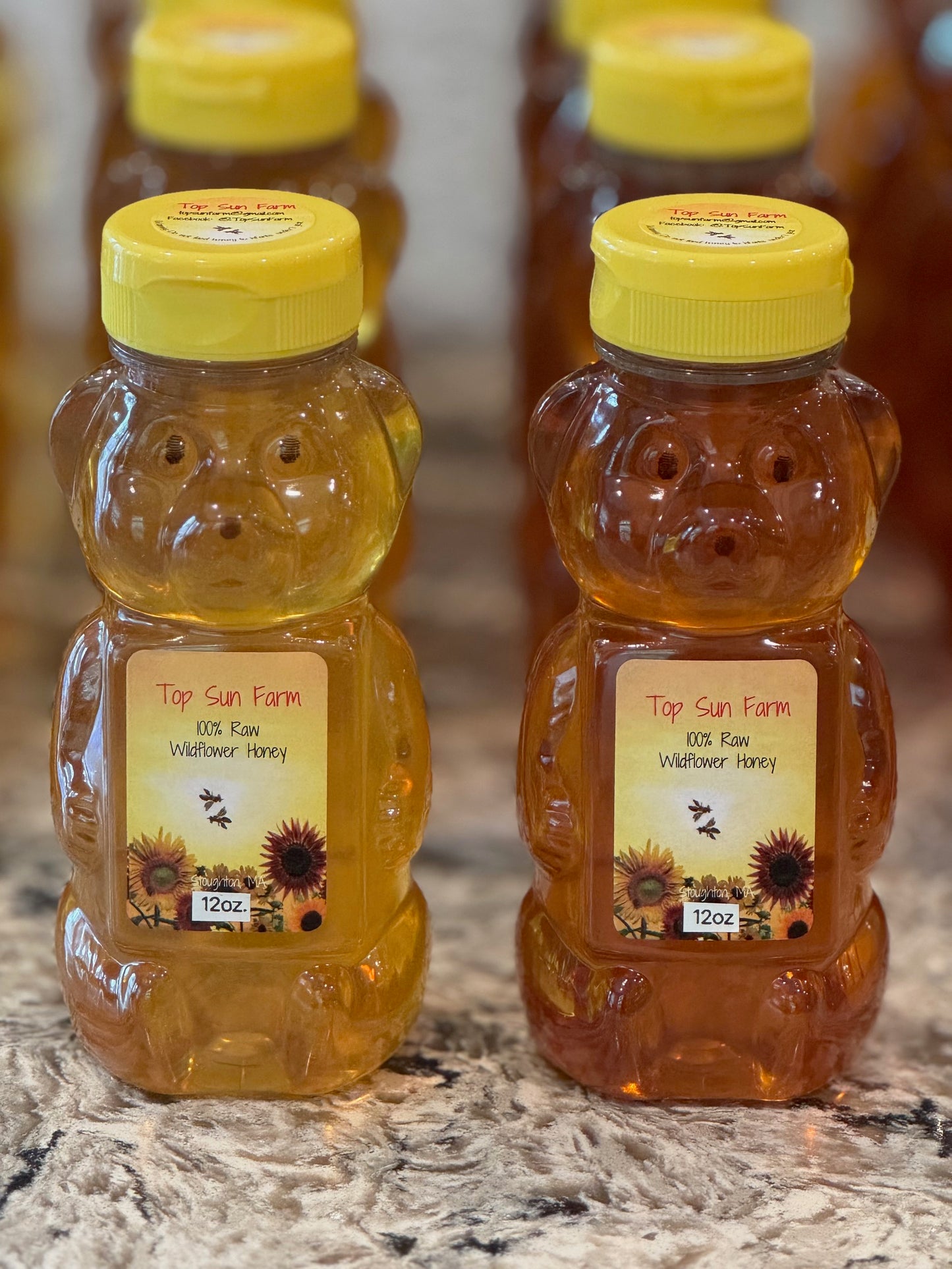 Raw Honey 12 oz. Bear