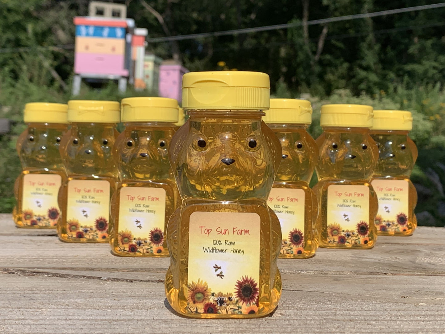 Raw Honey Bear