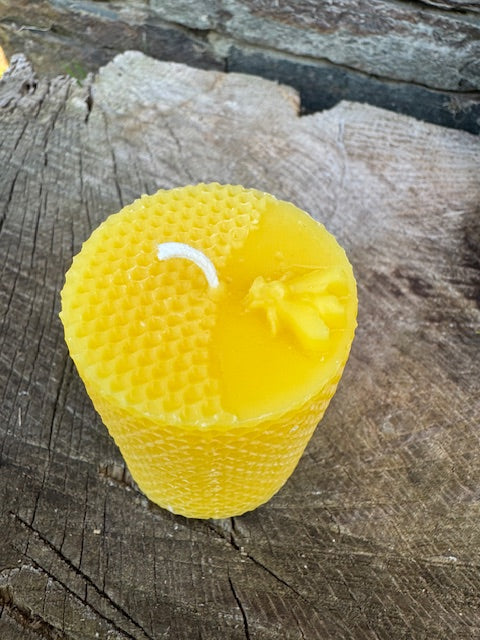 Cylinder Honeycomb with Bee Pillar