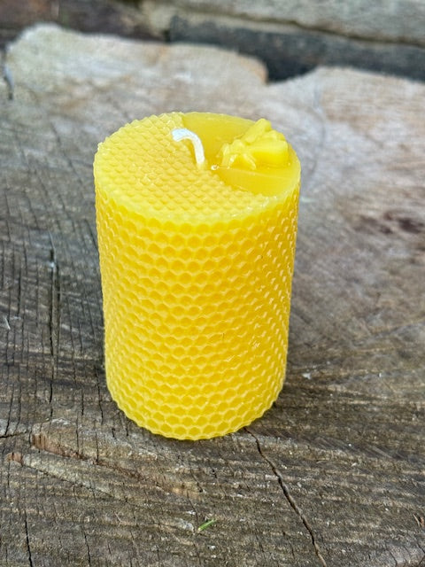 Cylinder Honeycomb with Bee Pillar