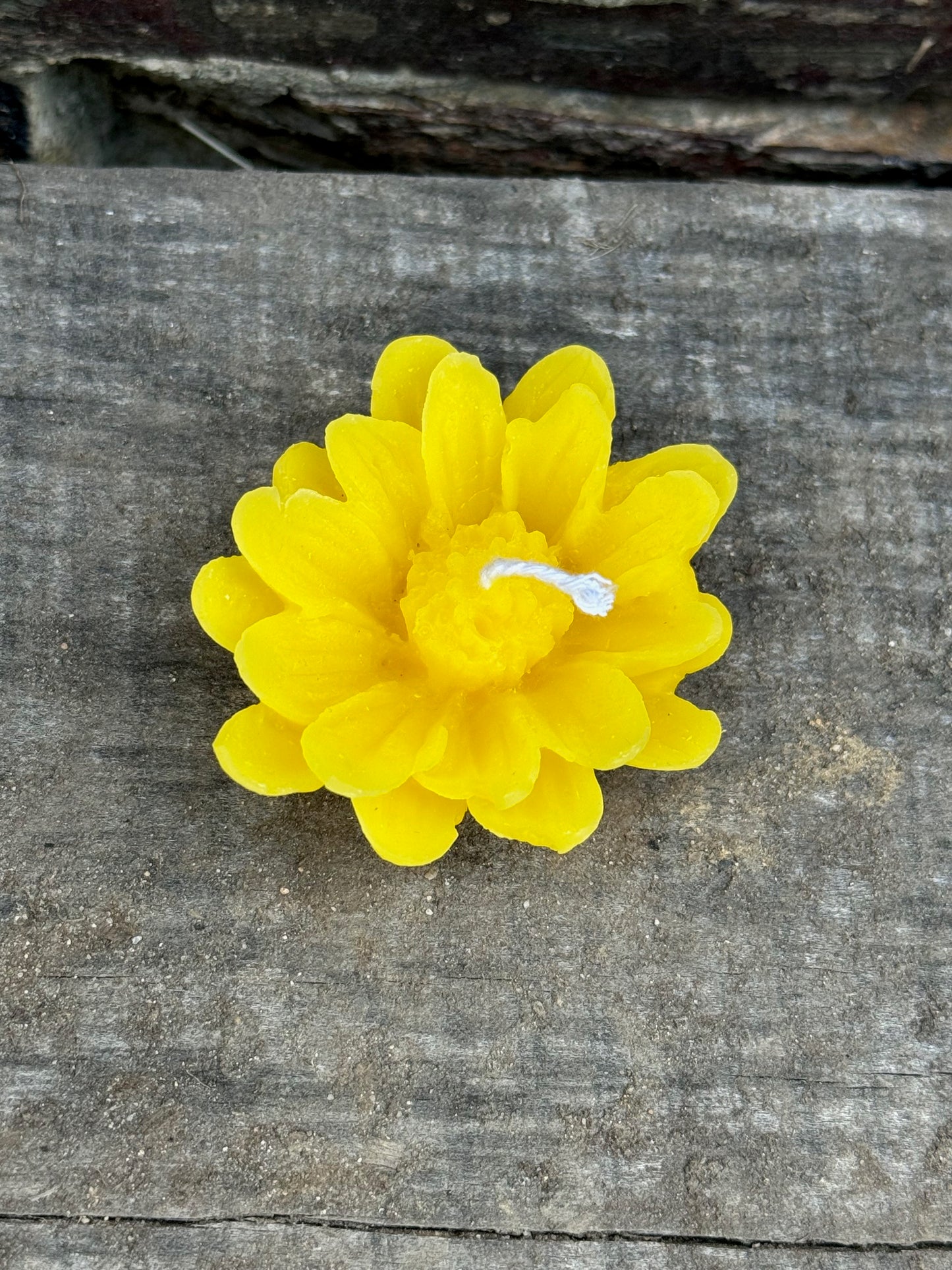 Floating Daisy Candle