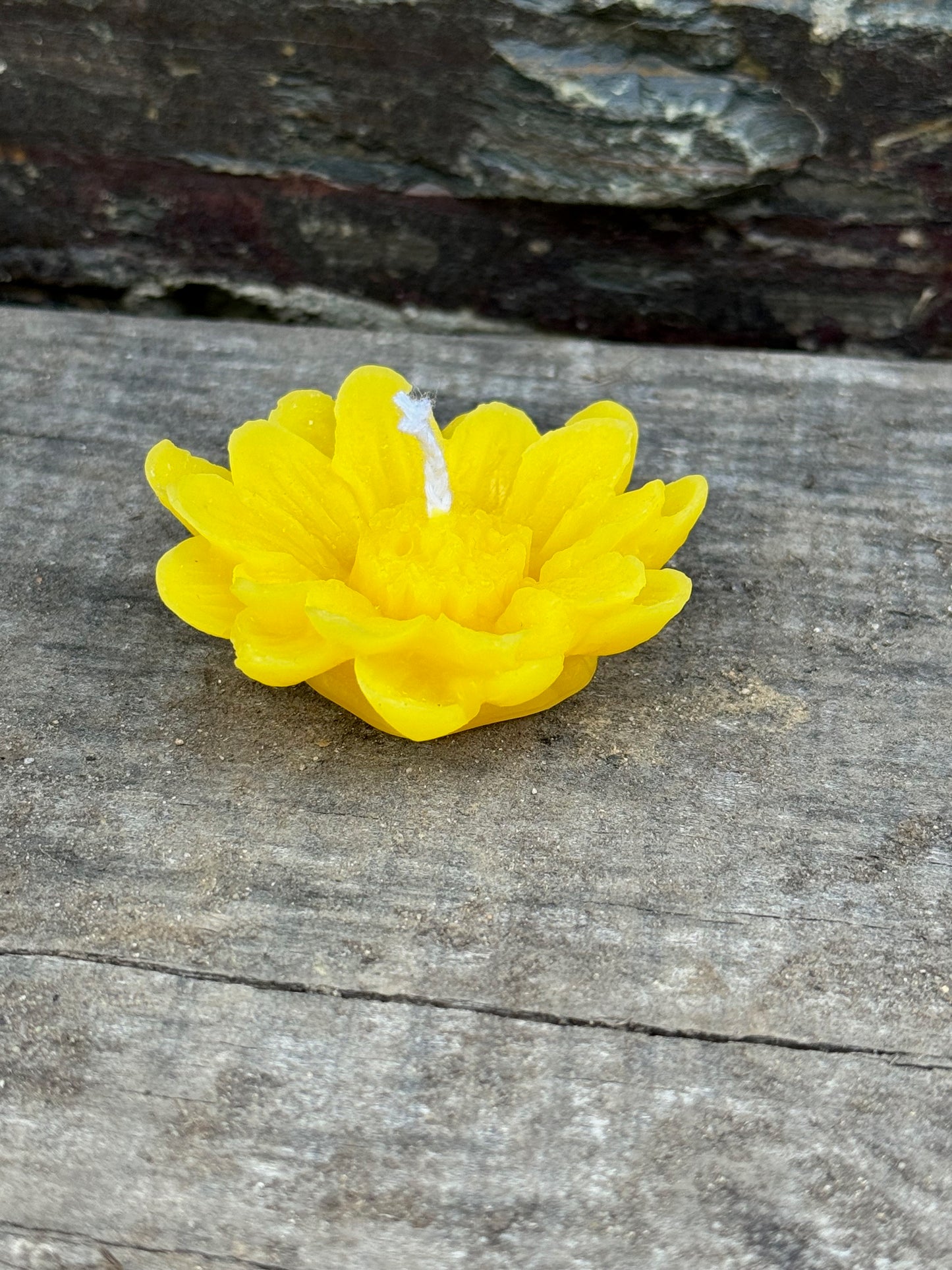 Floating Daisy Candle